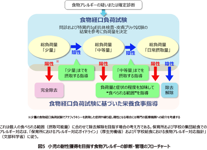 図5 小児の耐性獲得を目指す食物アレルギーの診断・管理のフローチャート