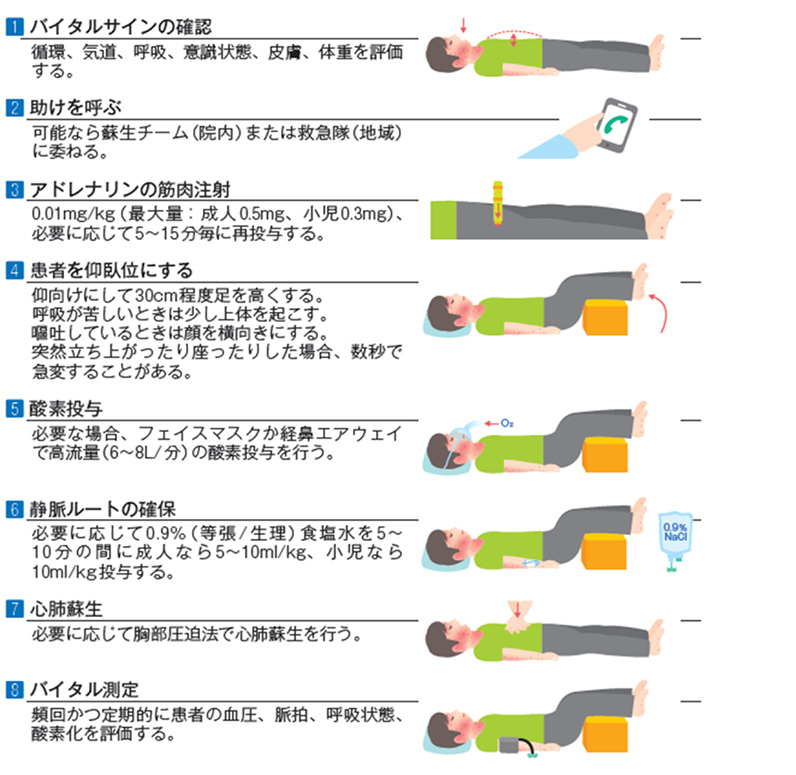 症状出現時の対応 食物アレルギー研究会